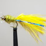 Fish to Fly's Olive Damsel