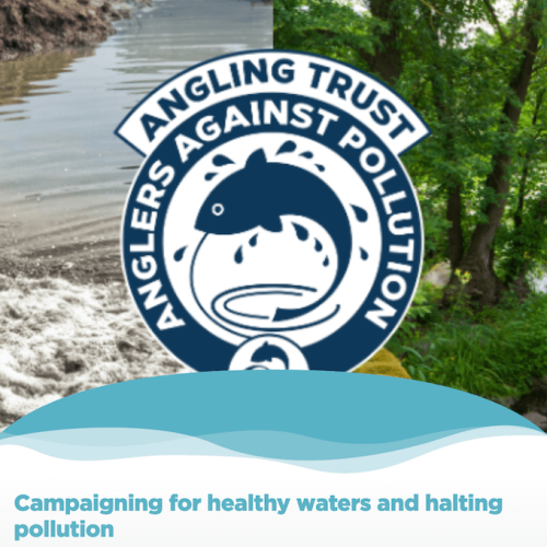 Screenshot 2021-05-24 at 13.08.23